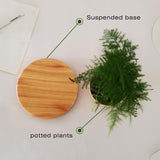 Floating Magnetic Levitating Flower Pot Bonsai Air Plant Pot Planter Potted for Home, Office & Desk Decor Gift