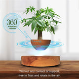 Floating Magnetic Levitating Flower Pot Bonsai Air Plant Pot Planter Potted for Home, Office & Desk Decor Gift