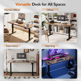Electric Standing Desk 55"X24"Height Adjustable Sit Stand up Desk