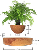 Floating Magnetic Levitating Flower Pot Bonsai Air Plant Pot Planter Potted for Home, Office & Desk Decor Gift